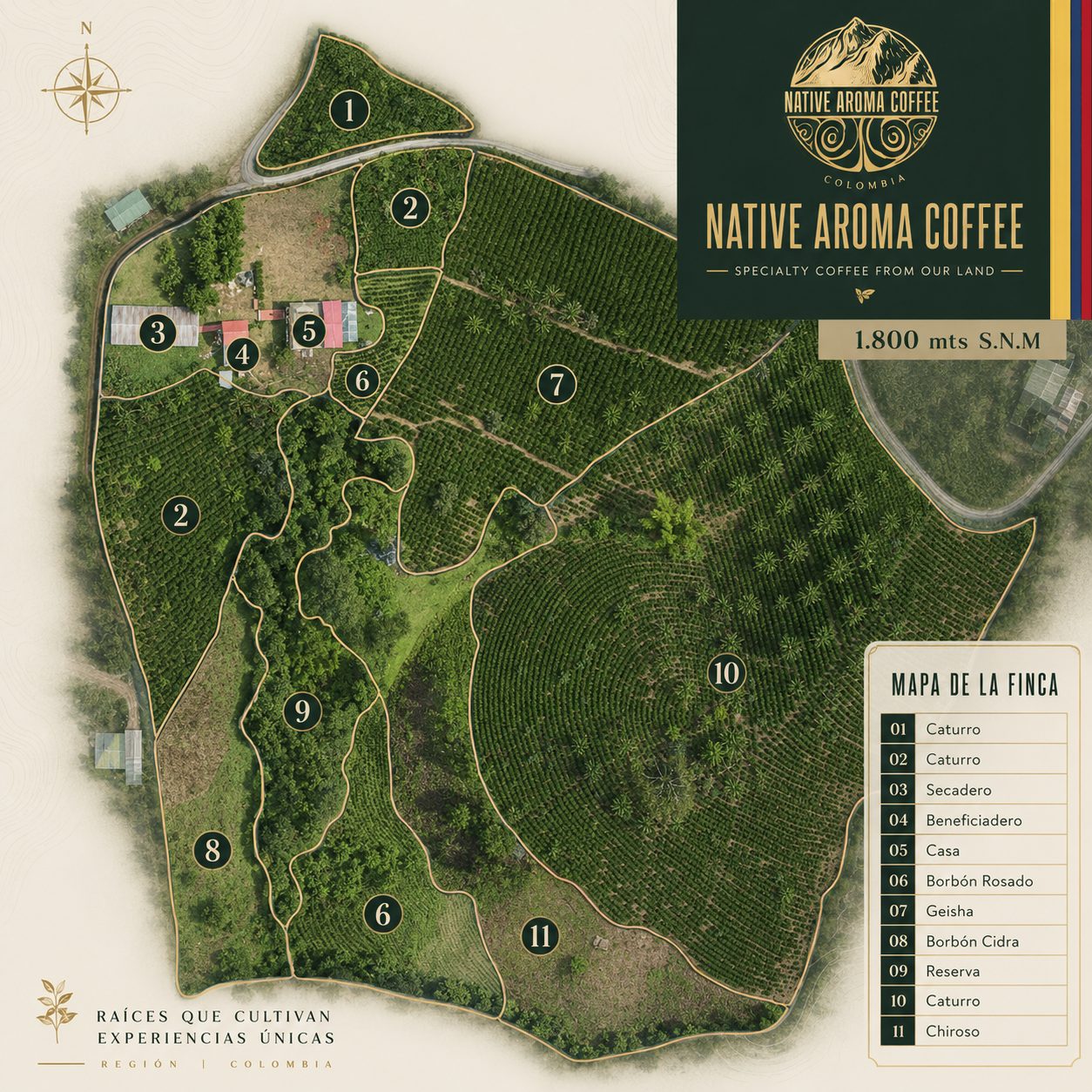 Mapa de la Finca Native Aroma Coffee